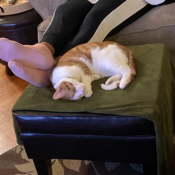 Meet Your Posher, Danny - Picture 9 of 9